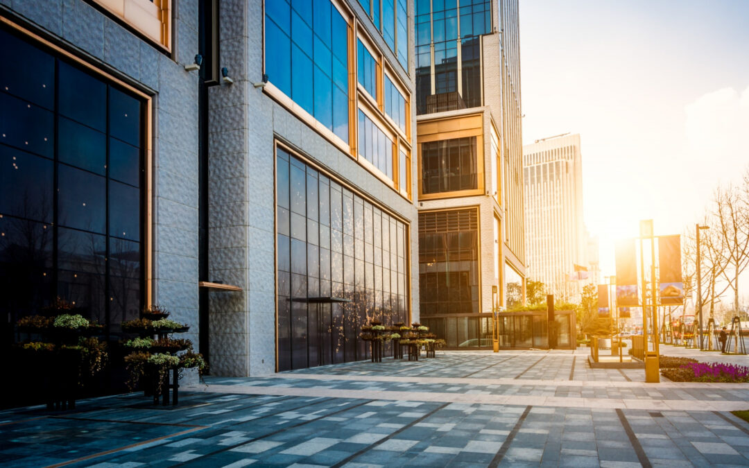 Beyond Capital: The Strategic Role of Partnership in Modern Investment